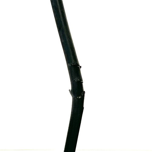 Pentax REF FNL-10P2 Flexible Rhinolaringoscope w/ Camera Adaptor,0 Broken Fibers