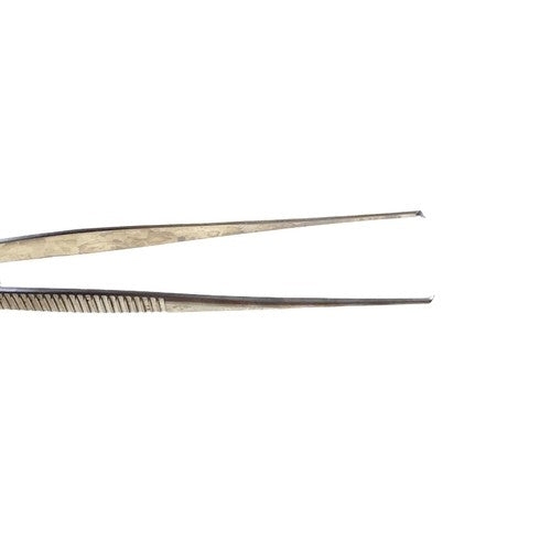 Katena REF K5-4550 Elschnig Fixation Forceps