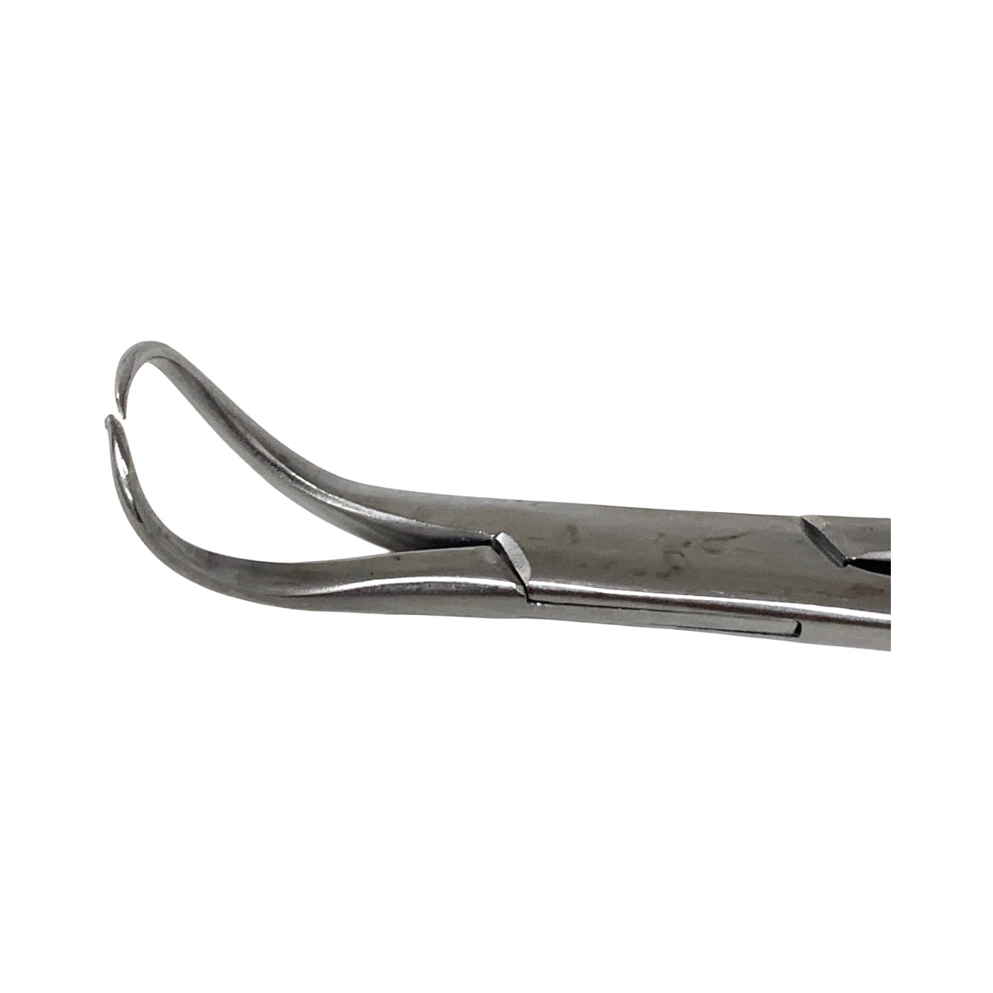 JARIT REF 111-102, Backhaus Towel Forcep
