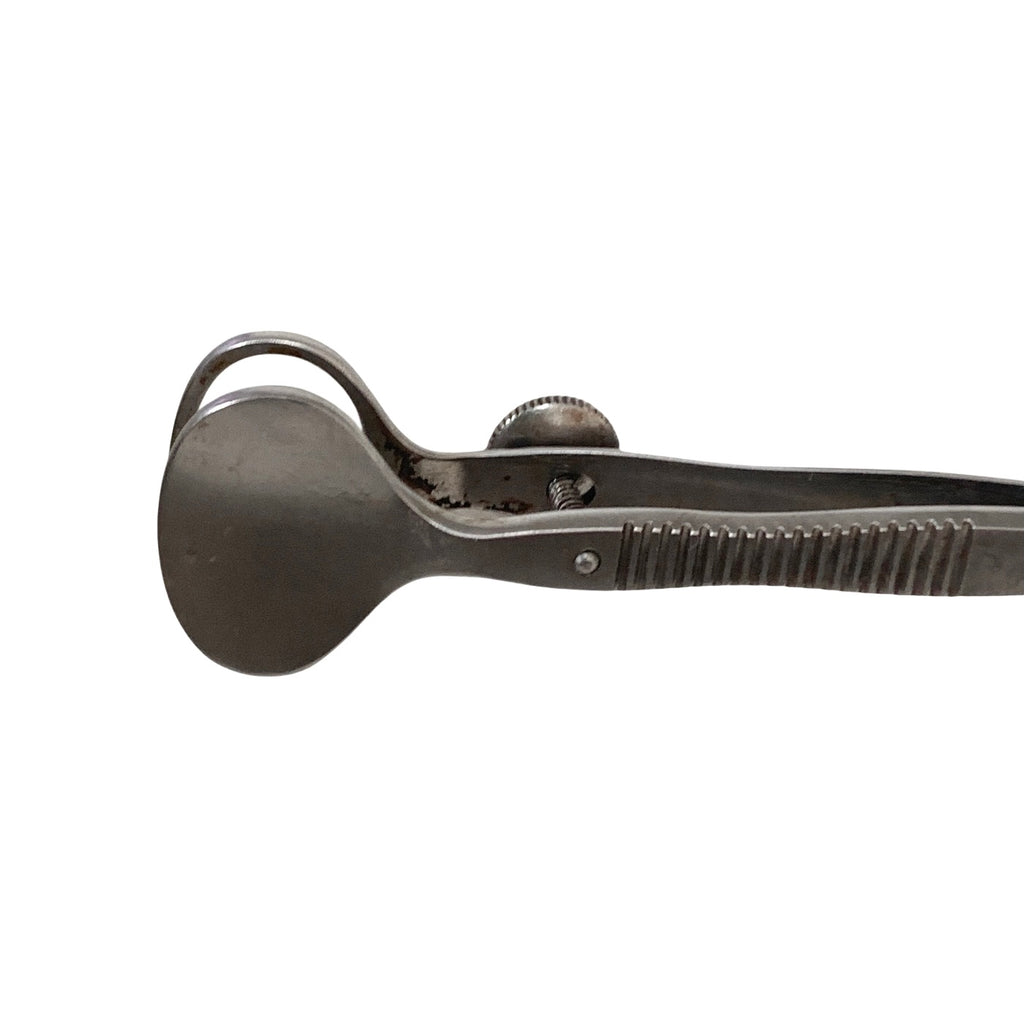 KATENA REF K5-9650, Desmarres Chalazion Forceps