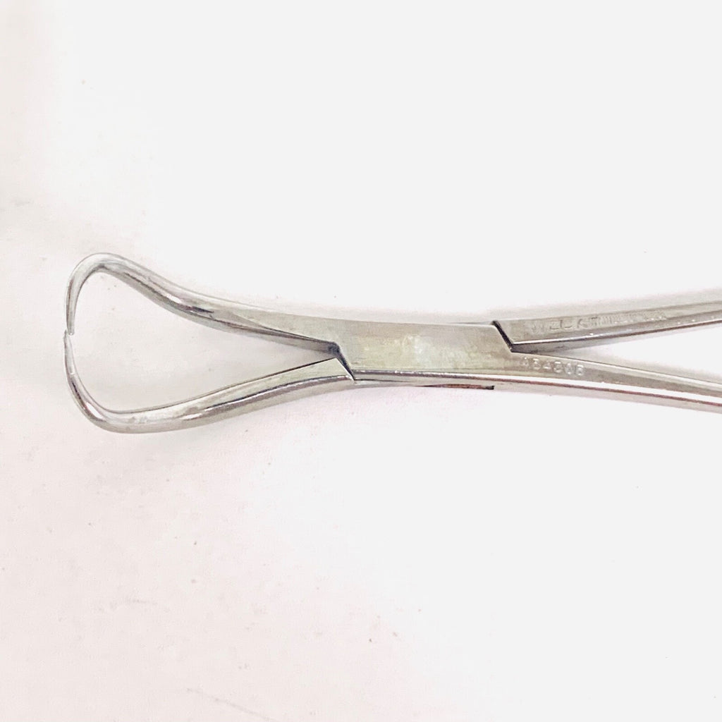 Weck REF 454305, Backhaus Towel Clamp Forceps