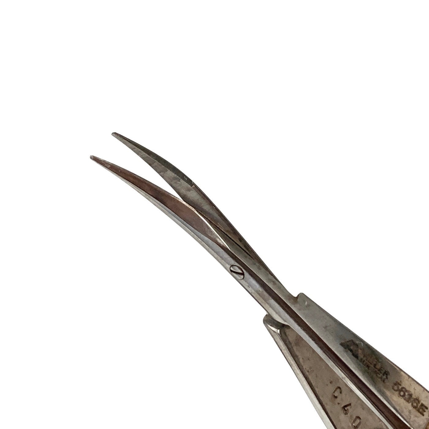 Ambler Ref 5616E, Westcott Tenotomy Scissors Curved Stainless