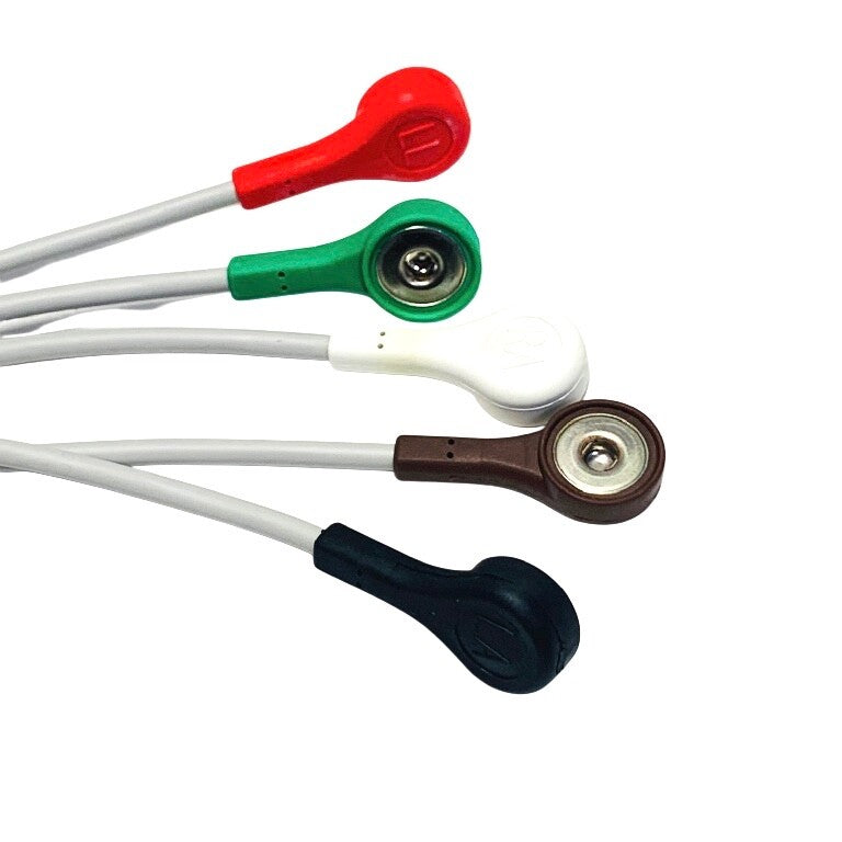 GE REF 411202-001, MULTI-LINK LEADWIRE SET