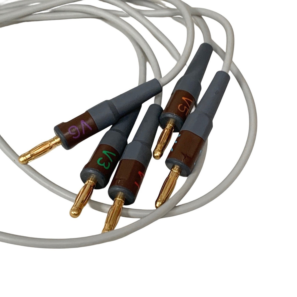GE Multi-Link 10-Lead ECG EKG Trunk Cable Leadwires Banana Plug 22341809 Patient