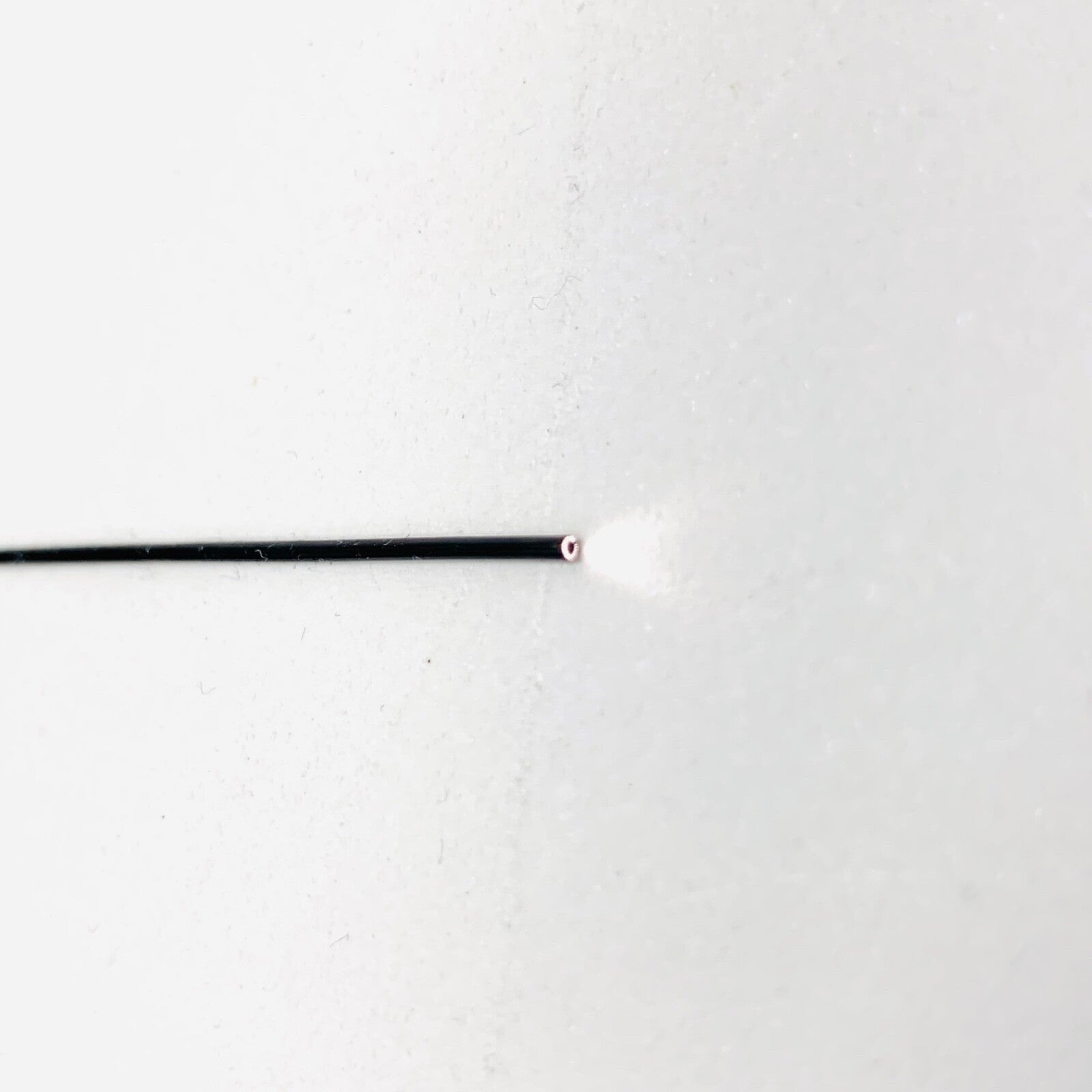 EBI REF C10036, S-004, ENDOSCOPY FLEXIBLE ENDOSCOPE