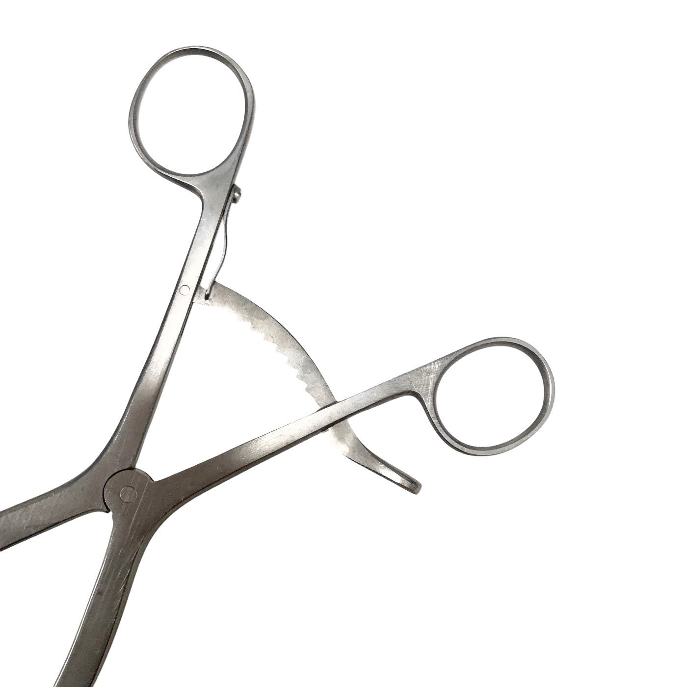 Aesculap REF BV273, Adson Laminectomy Retractor