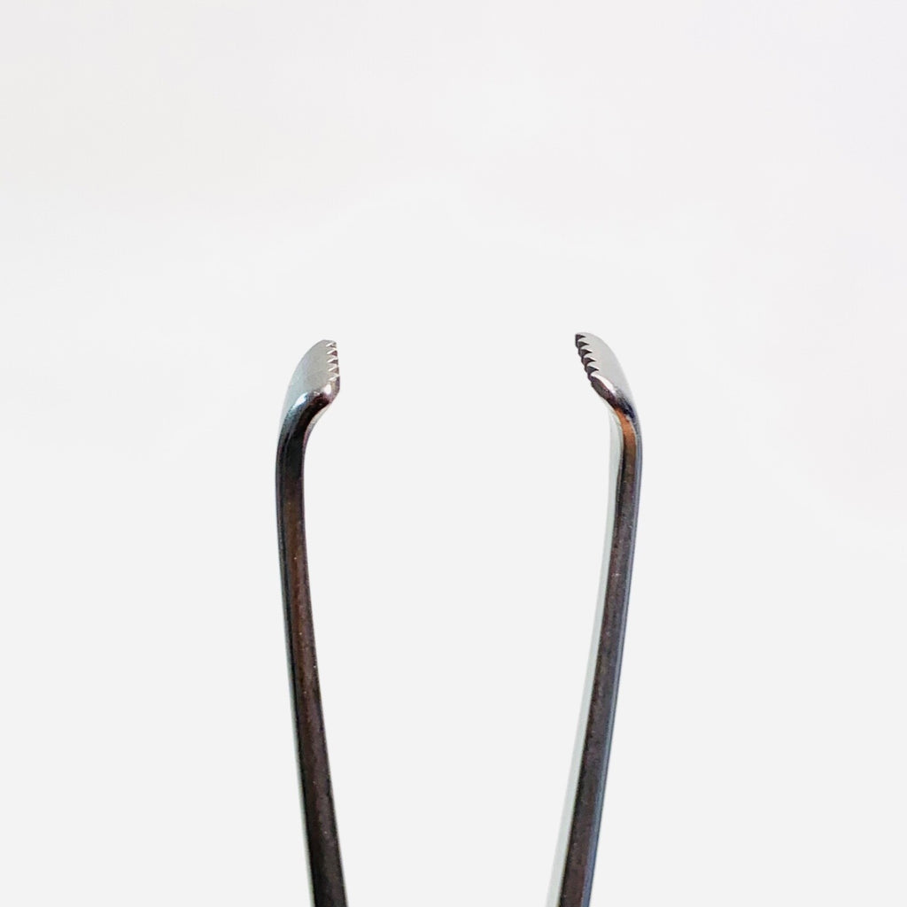 Aesculap REF EA017R, Allis Forceps
