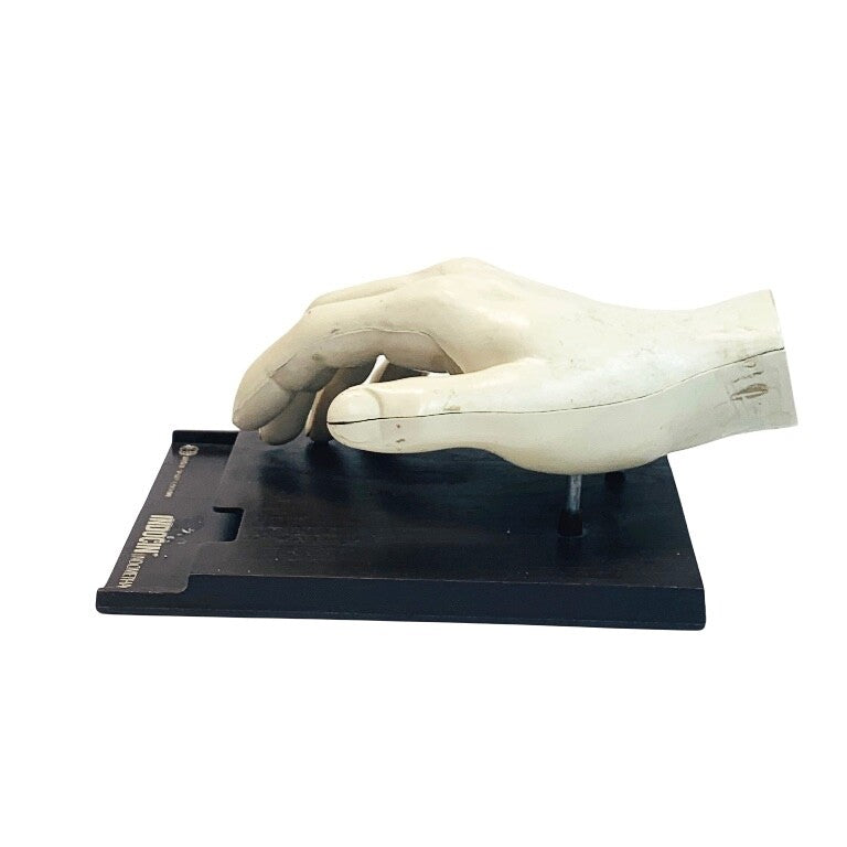 INDOCIN MERCK SHARP & DOHME INDOMETHACIN ANATOMICAL HUMAN HAND
