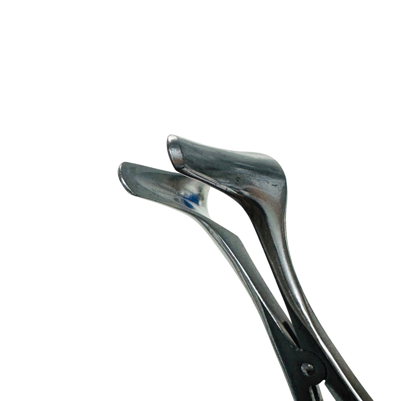 Padgett / Integra P4262 Vienna Nasal Speculum, Medium, 30.0mm, 5-3/8"
