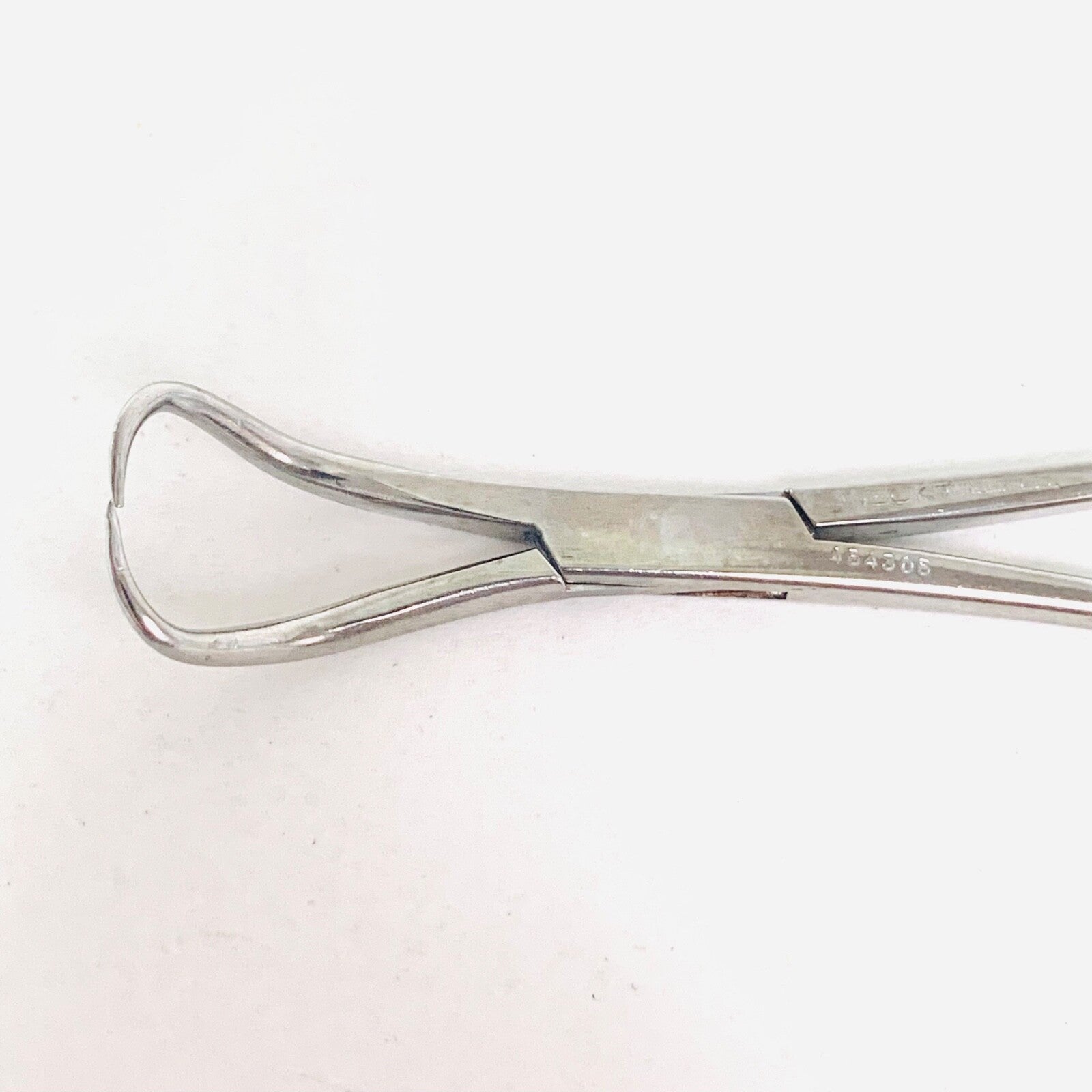 Weck REF 454305, Backhaus Towel Clamp Forceps
