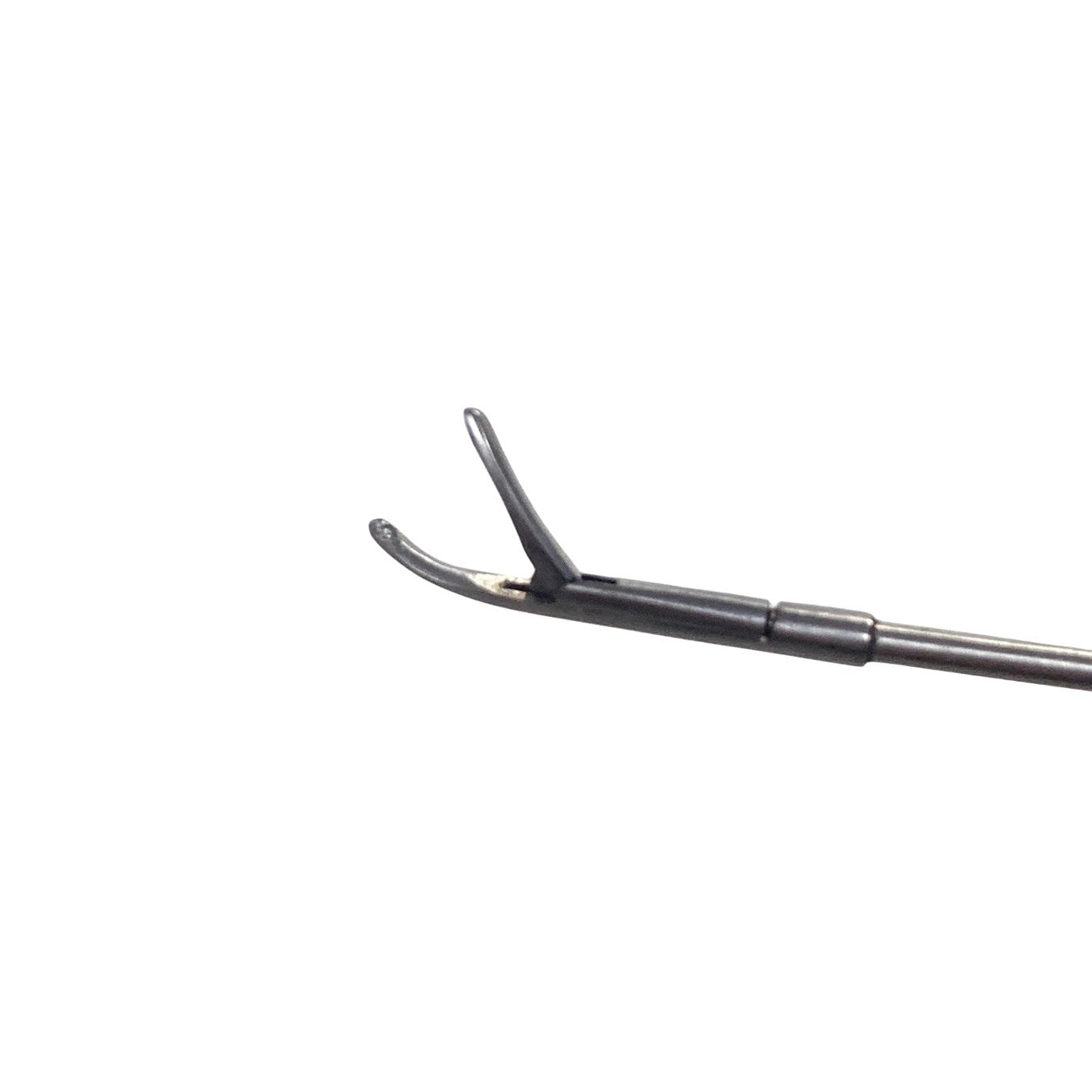 Aesculap OG344R Micro Laryngeal Alligator Forceps 0.8x1.3mm Curved ENT Surgical