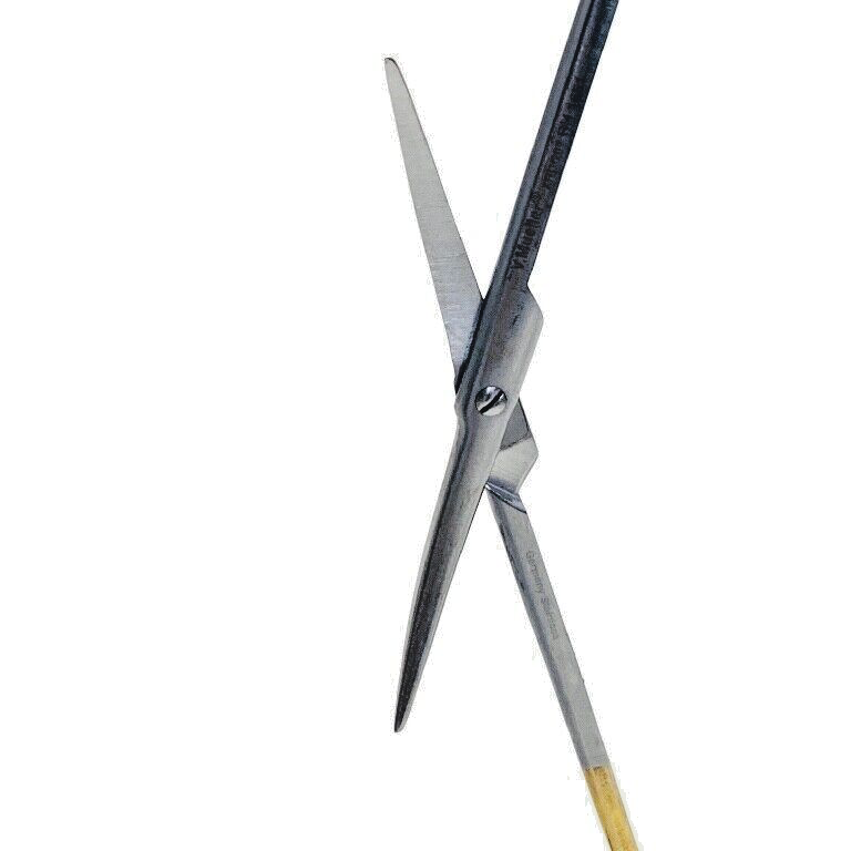 V. Mueller REF RH1651, Metzenbaum Dissecting Scissors 5-3/4"