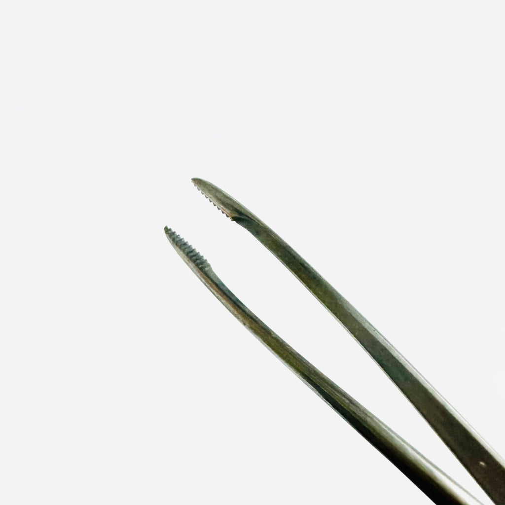 V. Mueller AU6150 Ear Forceps Delicate, Serrated Cup 8 1/2 Inch instrument