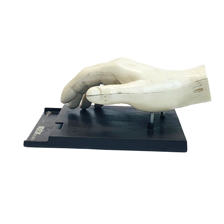 INDOCIN MERCK SHARP & DOHME INDOMETHACIN ANATOMICAL HUMAN HAND