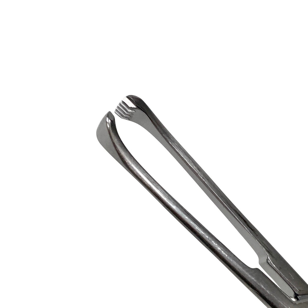 Millennium Surgical 1-268 Allis Tissue Forceps 4x5 Teeth 6" Surgical Instrument