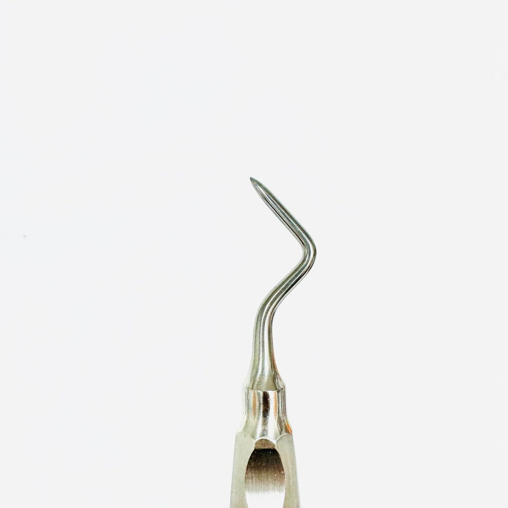 KLS 42-505-02 Friedman Root Elevator Fig. 2L Instrument
