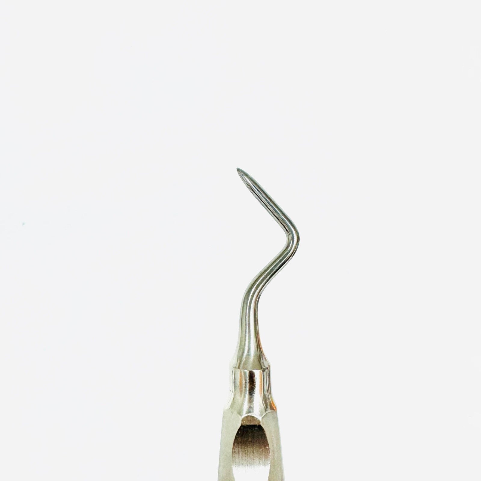 KLS 42-505-02 Friedman Root Elevator Fig. 2L Instrument