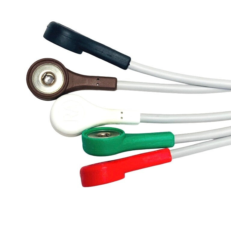 GE REF 411202-001, MULTI-LINK LEADWIRE SET