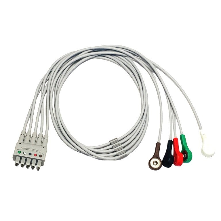 GE REF 411202-001, MULTI-LINK LEADWIRE SET