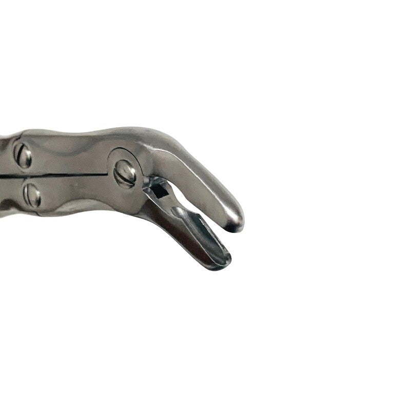 V. Mueller REF NL 631-001, Leskel Rongeur Forceps