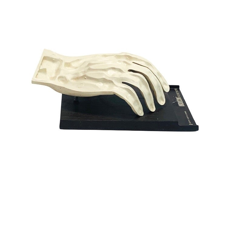INDOCIN MERCK SHARP & DOHME INDOMETHACIN ANATOMICAL HUMAN HAND
