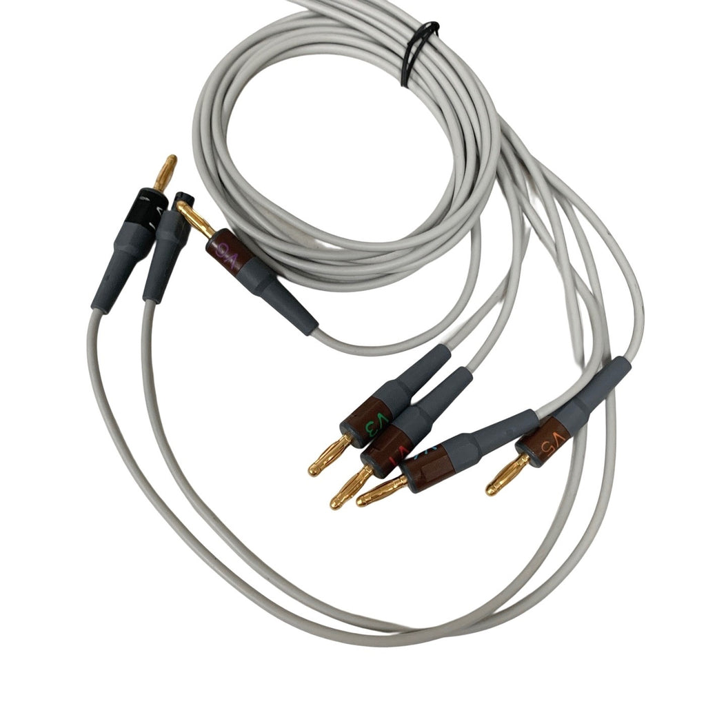 GE Multi-Link 10-Lead ECG EKG Trunk Cable Leadwires Banana Plug 22341809 Patient