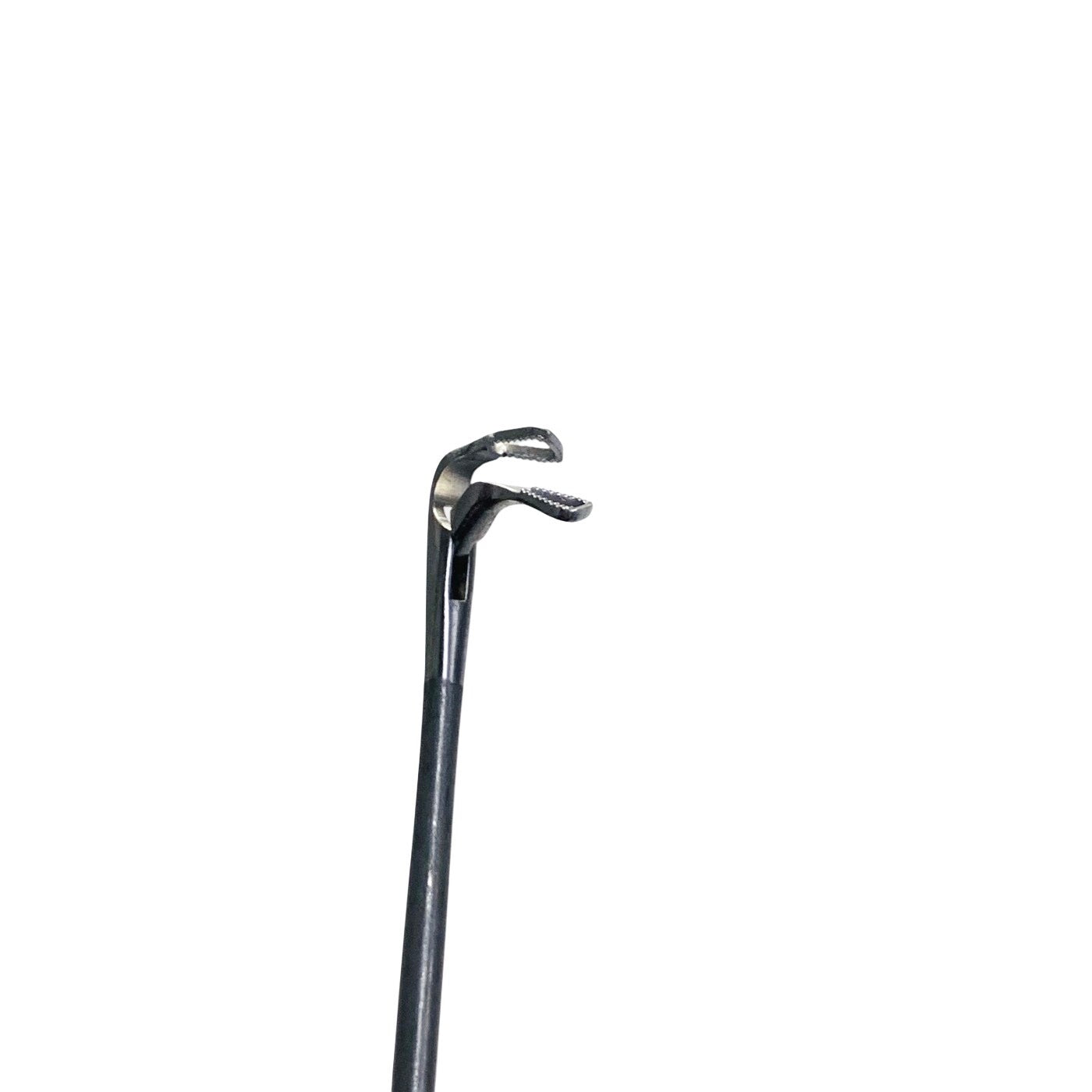 Karl Storz REF 8593GK, LARYNGEAL ALLIGATOR FORCEPS, CURVED UP RIGHT