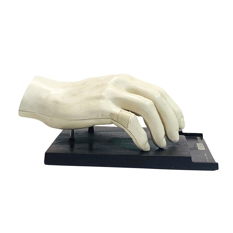 INDOCIN MERCK SHARP & DOHME INDOMETHACIN ANATOMICAL HUMAN HAND