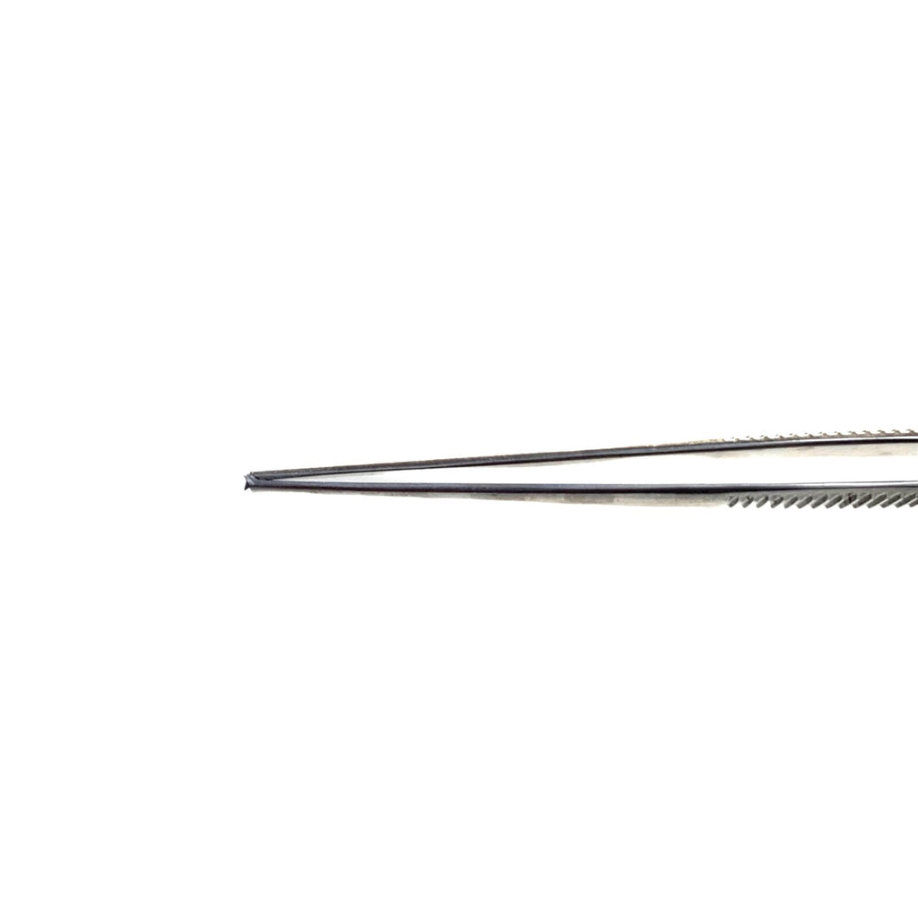 Storz REF E-1684, Elschnig Fixation Forceps Narrow