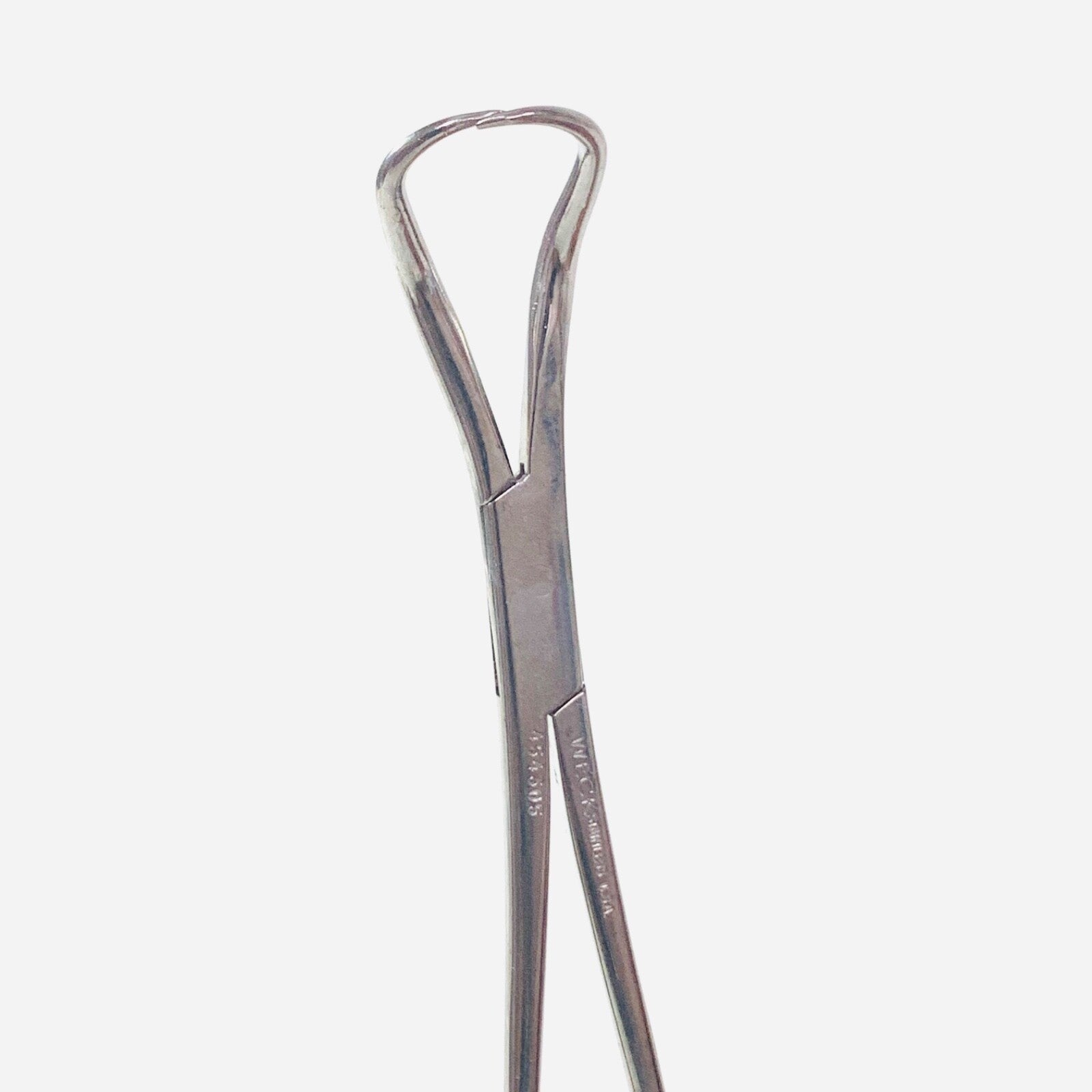 Weck REF 454305, Backhaus Towel Clamp Forceps