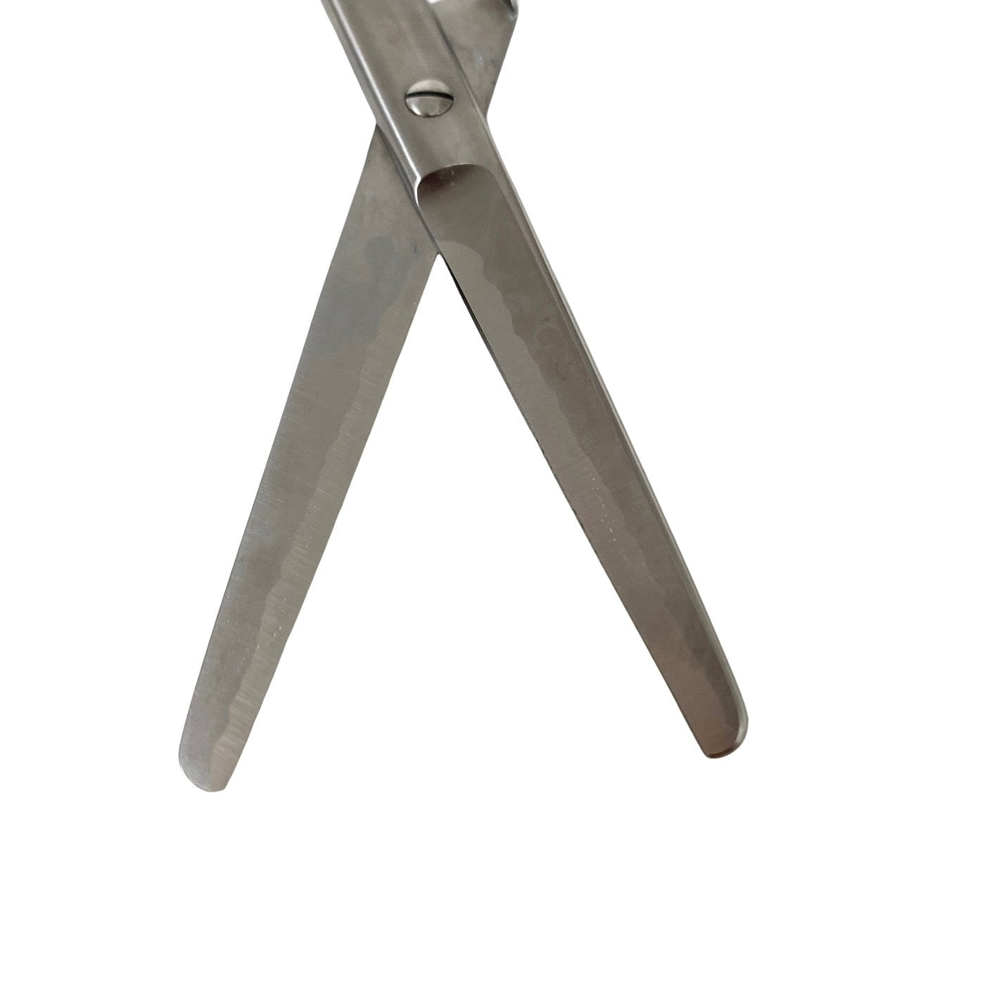 Konig REF MDS0810418, SURGICAL Dissecting Scissors