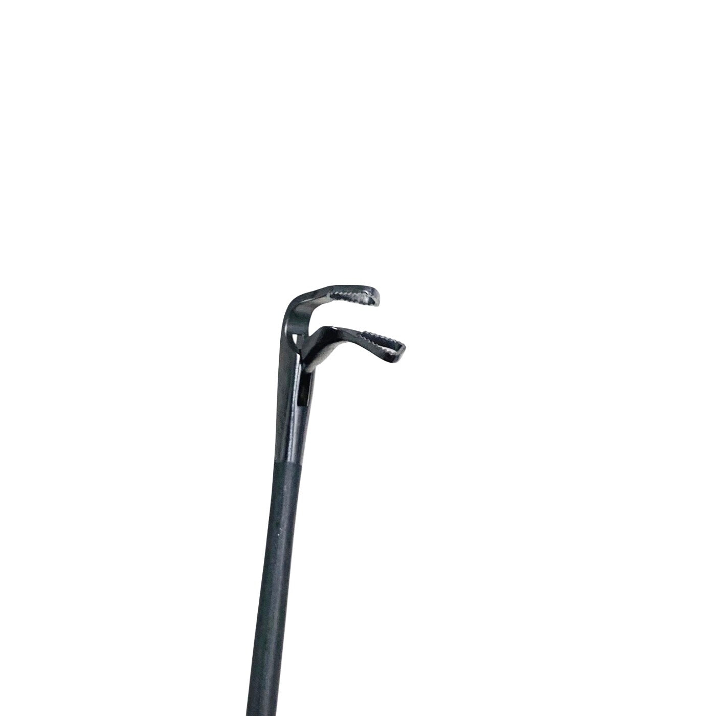 Karl Storz REF 8593GK, LARYNGEAL ALLIGATOR FORCEPS, CURVED UP RIGHT