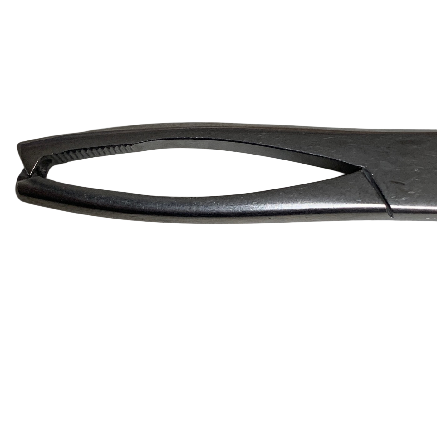 V Mueller GL950 Dittmar Jacob Uterine Vulsellum Forceps Straight 21cm 2x2 Teeth
