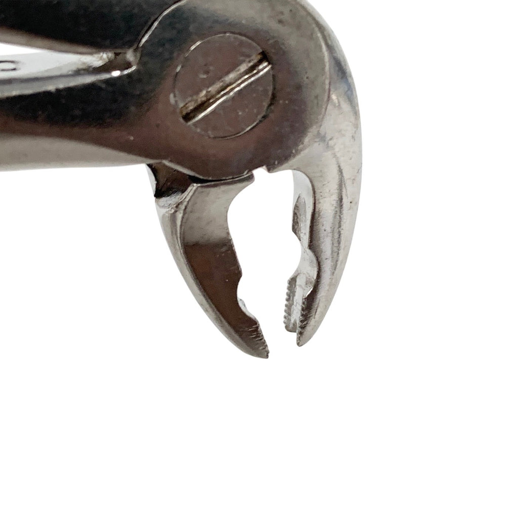 P. BANDITT REF 133AS, Surgical Extracting Forcep