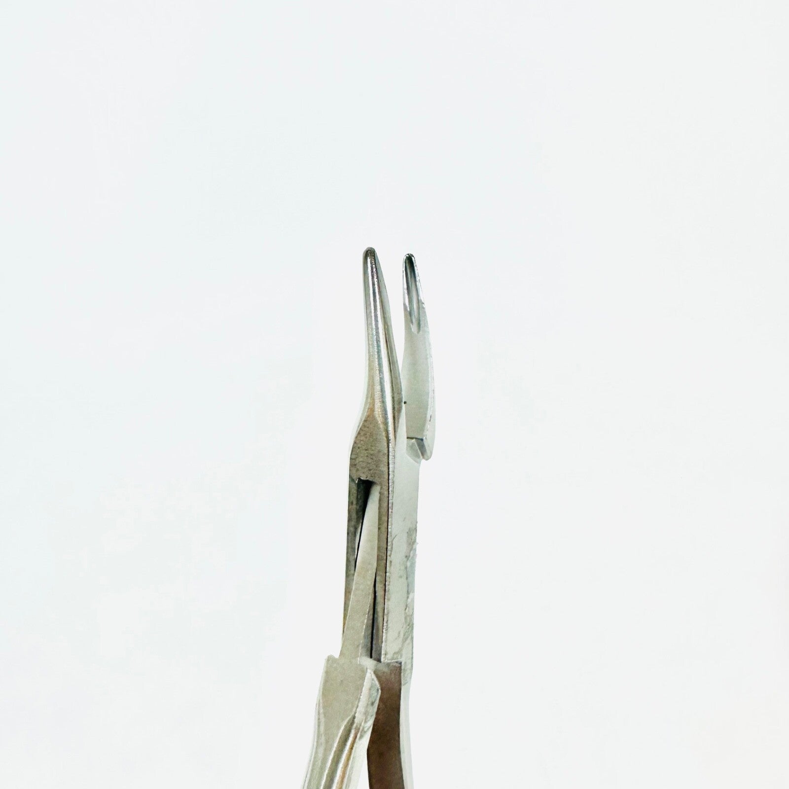 V. Mueller AU11355-02 Ronguer, Micro Friedman Curved 5 1/2" 1.3 X 5mm Instrument