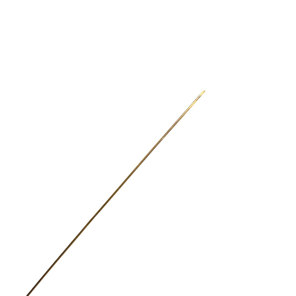 EBI REF C10033, F10025, E10058, ENDOSCOPY FLEXIBLE ENDOSCOPE