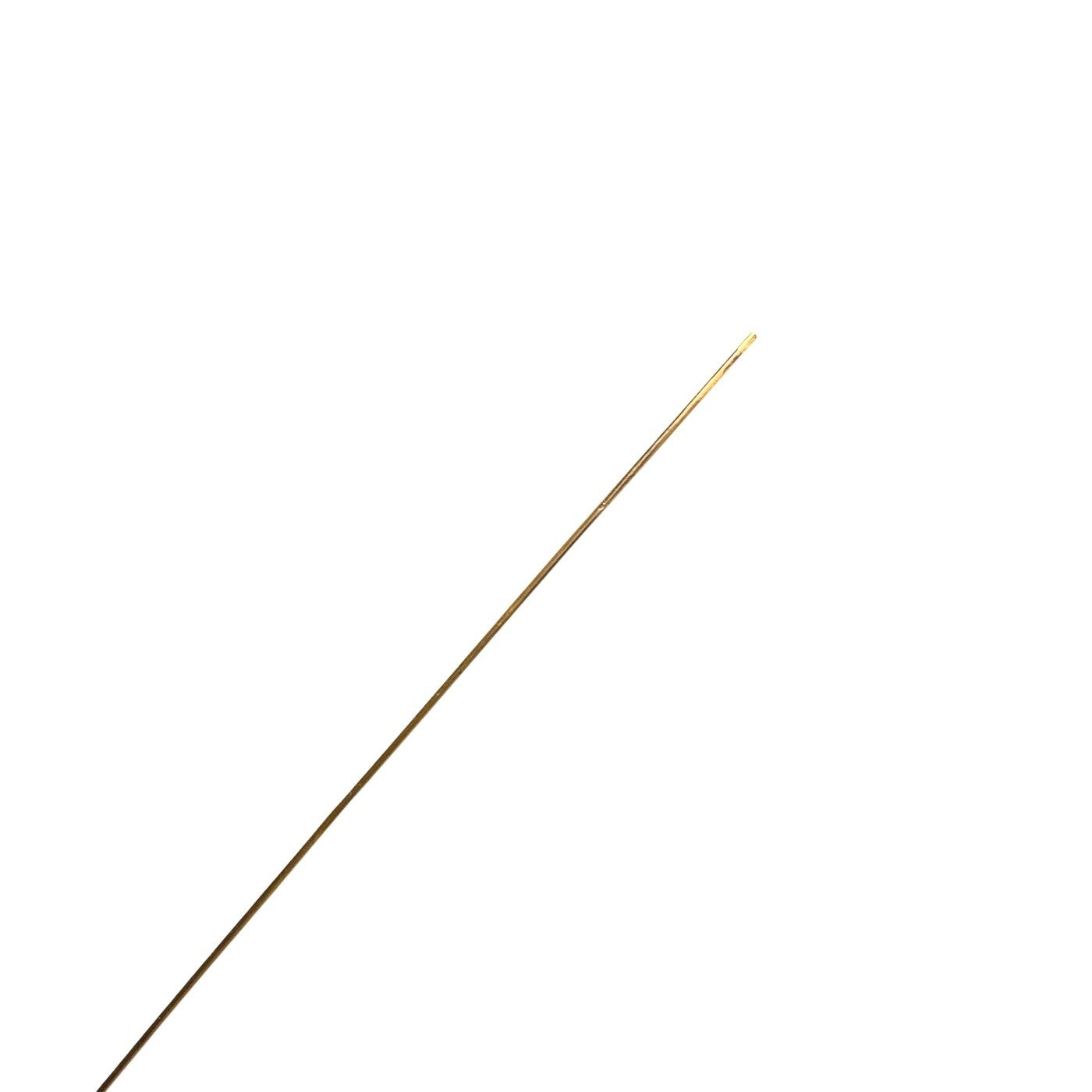 EBI REF C10033, F10025, E10058, ENDOSCOPY FLEXIBLE ENDOSCOPE