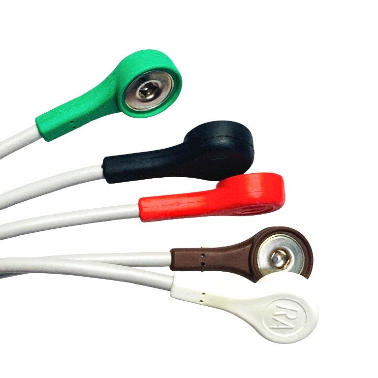 GE REF 411202-001, MULTI-LINK LEADWIRE SET