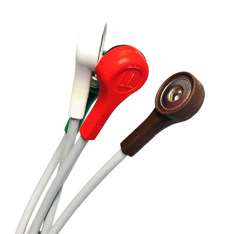 GE REF 411202-001, MULTI-LINK LEADWIRE SET
