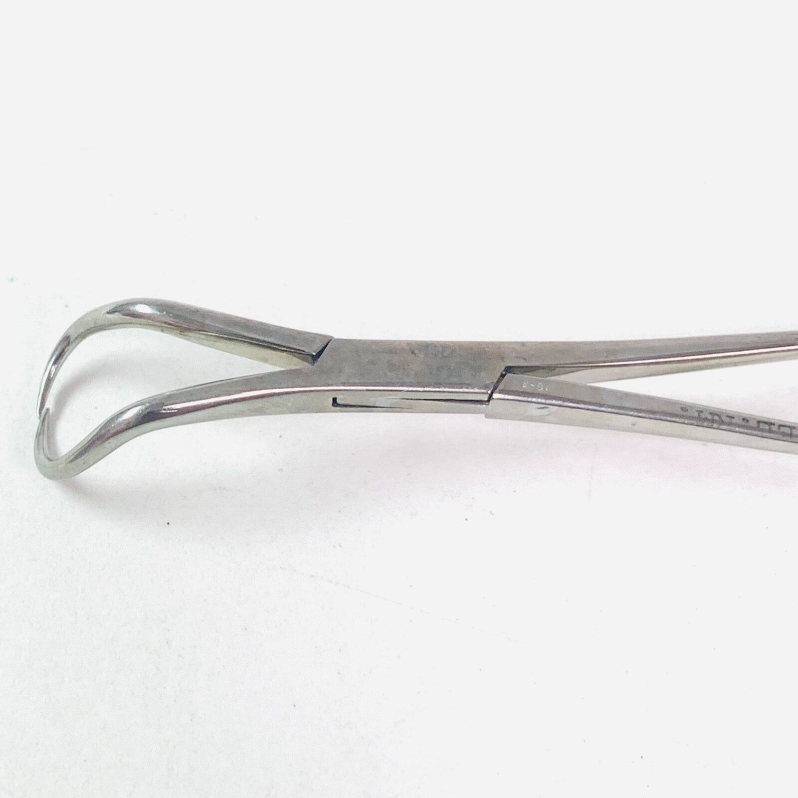 Weck REF 454305, Backhaus Towel Clamp Forceps