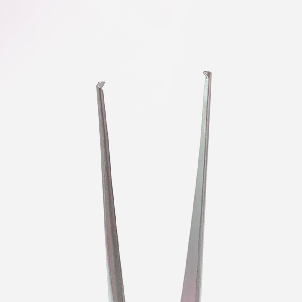 Aesculap REF BD537R, TISSUE FORCEPS