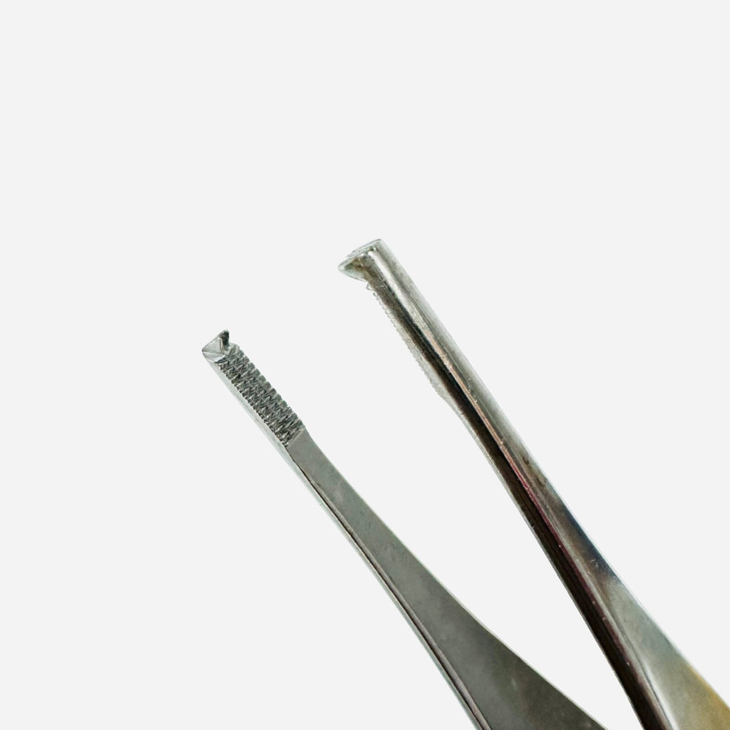 V. Mueller SU2510 Tissue Forceps Ferris-Smith, 2 X 3 Teeth 6-3/4 Inch Instrument