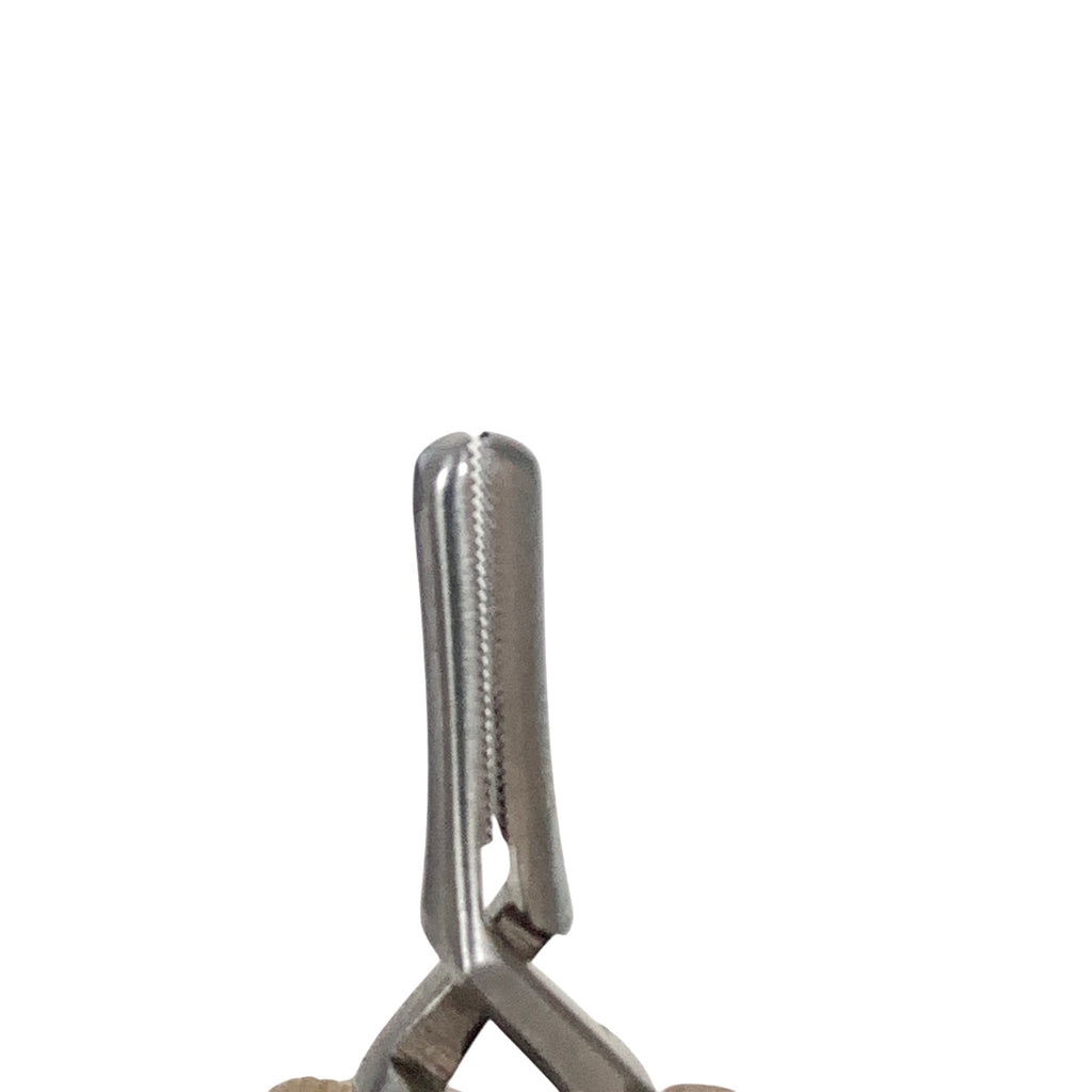 AMBLER REF 7331E Serrefine 1 3/8'',straight 10.0mm serrated jaws