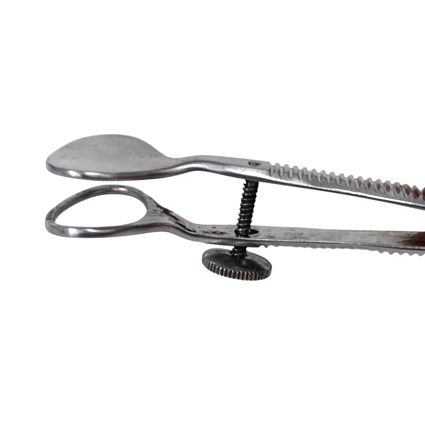 KATENA REF K5-9650, Desmarres Chalazion Forceps