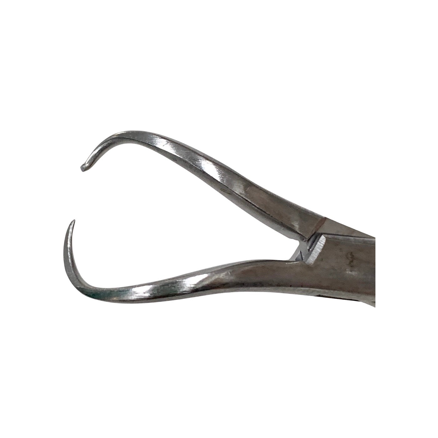 JARIT REF 111-102, Backhaus Towel Forcep